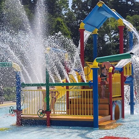 אפלסכה Chalet Alkenhaer מראה חיצוני תמונה